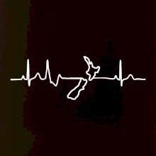 Nový Zéland EKG