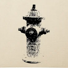 Hasičský hydrant americký