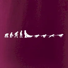 Evolúcia psie záprahy