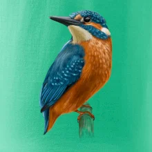 Ľadnáčik kreslený