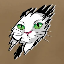 Kočka v roztrženém triku