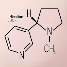 Molekulárna štruktúra Nikotín