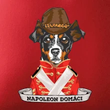 Napoleon domáci kríženec