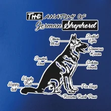 Nemecký ovčiak - Anatómia Nemecký ovčiak - Anatómia