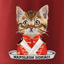 Napoleon domáci mačka
