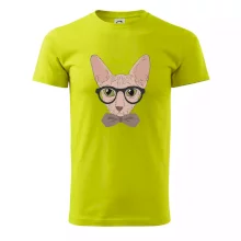 Hipster sphynx Hipster sphynx