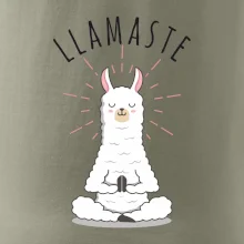 Yoga Llamaste Yoga Llamaste