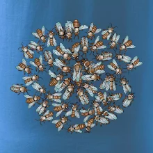 Včelia rodinka kruh (Pecka Design)