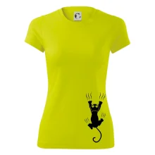 Mačka visiaca Mačka visiaca