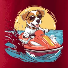 Jack russell teriér na vodnom skútri