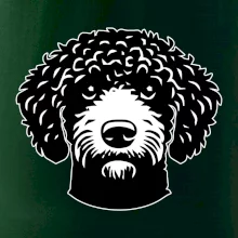 Lagotto romagnolo hlava na prsníku