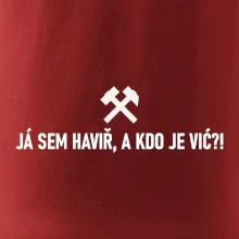 JÁ SEM HAVIŘ, A KDO JE VIĆ?!﻿