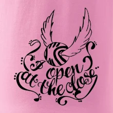 Harry - Zlatá strela