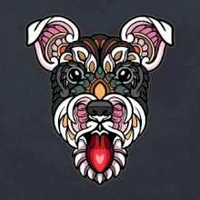 Knírač hlava barevná