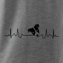 Jack Russell Terriér Ekg