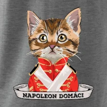 Napoleon domáci mačka Napoleon domáci mačka