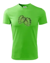 Monstera - dva listy