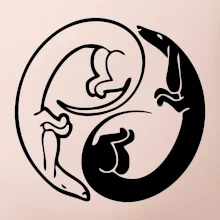 Jazvečíky - Jin jang