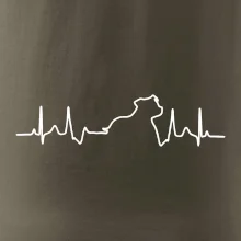 Stafordšírsky bulteriér ‎ EKG