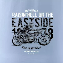 Raisin Hell Moto Racer