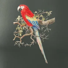 Papagáj  na listnatom strome