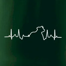 Stafordšírsky bulteriér ‎ EKG