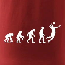 Evolúcia volejbal smeč