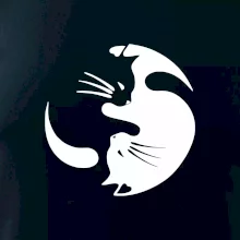 Mačka - Jin jang Mačka - Jin jang
