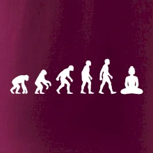 Evoluce budha