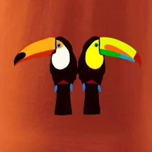 Dva barevní tukani (Moňas)