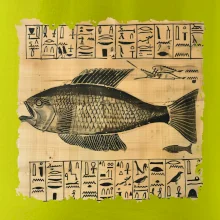 Egyptské hieroglyfy ryba