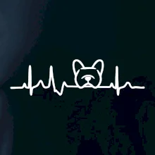 EKG Francúzsky buldoček hlava EKG Francúzsky buldoček hlava