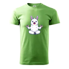 Yoga meditácie - lama