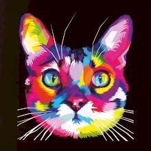 Mačka dúhová hlava