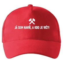 JÁ SEM HAVIŘ, A KDO JE VIĆ?!﻿