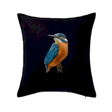 Ľadnáčik kreslený