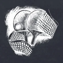 Ping pong rakety a sieť