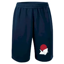 Japan culture - origami