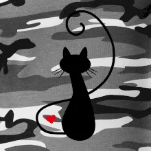 Zamilovaná mačka spredu