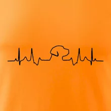 Labradorský retriever EKG Labradorský retriever EKG