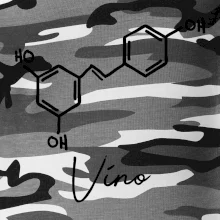 Barová chémia - víno