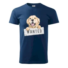 Zlatý retriever - šteniatko wanted
