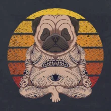 Yoga meditace - pug