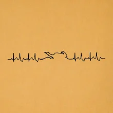 Moto EKG Moto EKG