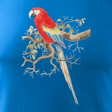 Papagáj  na listnatom strome