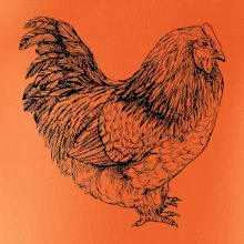 Sliepka čiernobiela