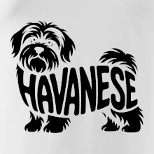 Havanese nápis v tele