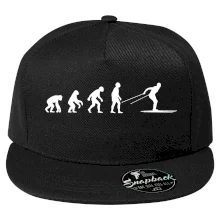 Evolúcia behu - bežky Evolúcia behu - bežky