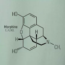 Molekulárna štruktúra Morfín