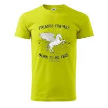 Pegasus fantasy Pegasus fantasy